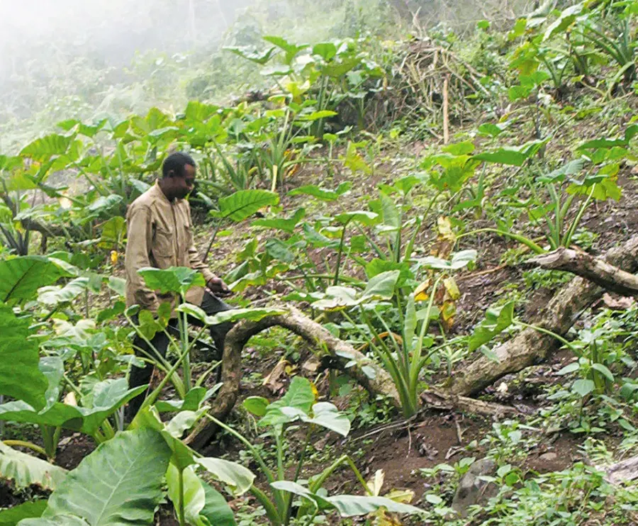 La carte Empreinte écologique