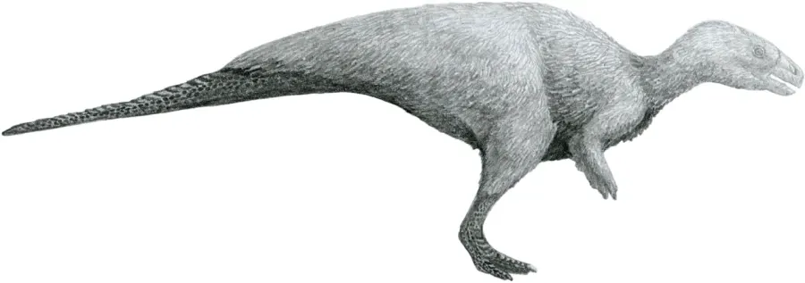 The Rhabdodontidae card