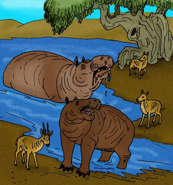The Hippopotamus creutzburgi card