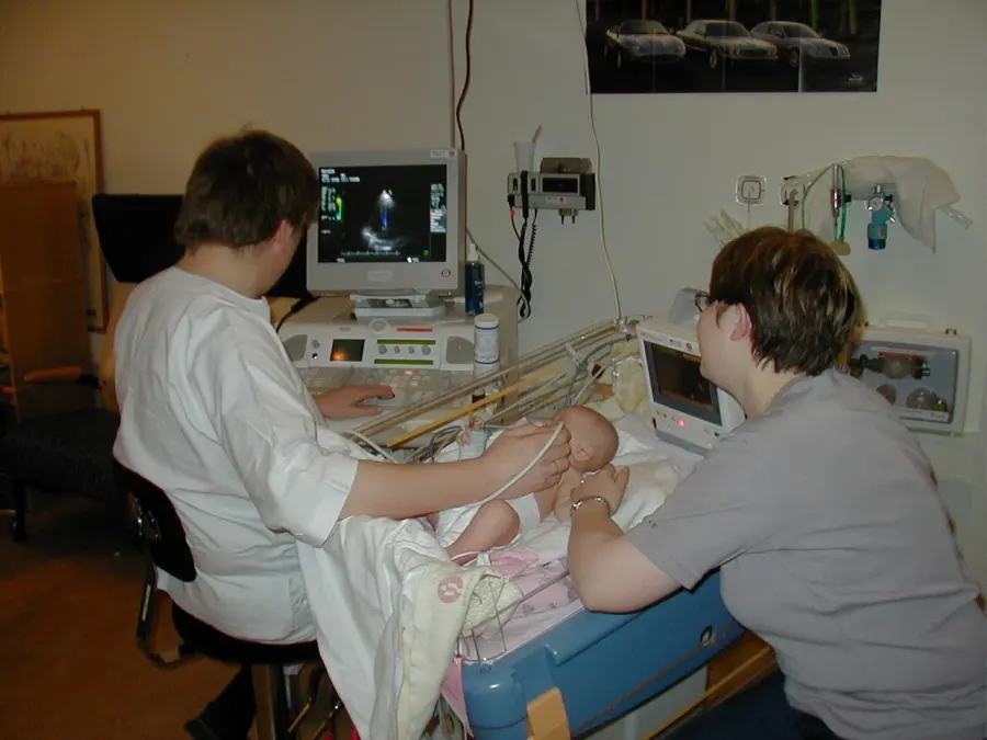 The Medical ultrasound card