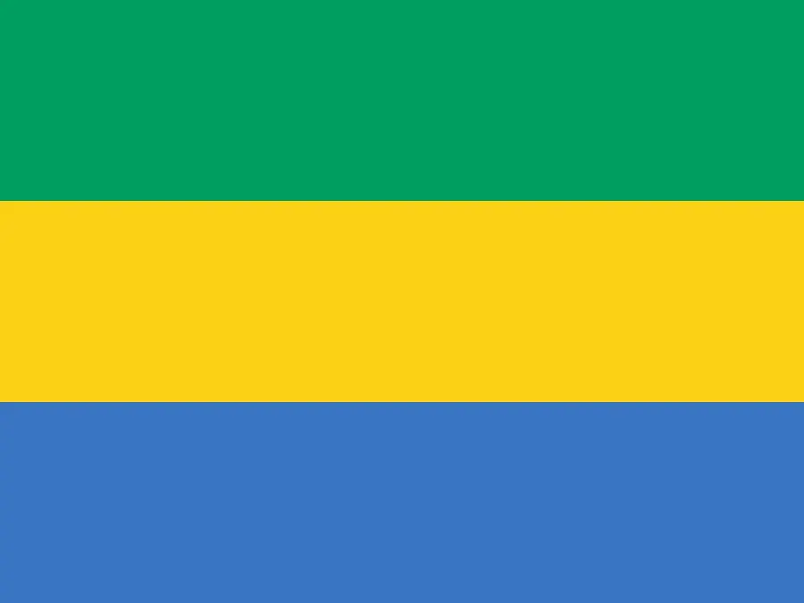 The Gabon national football team card