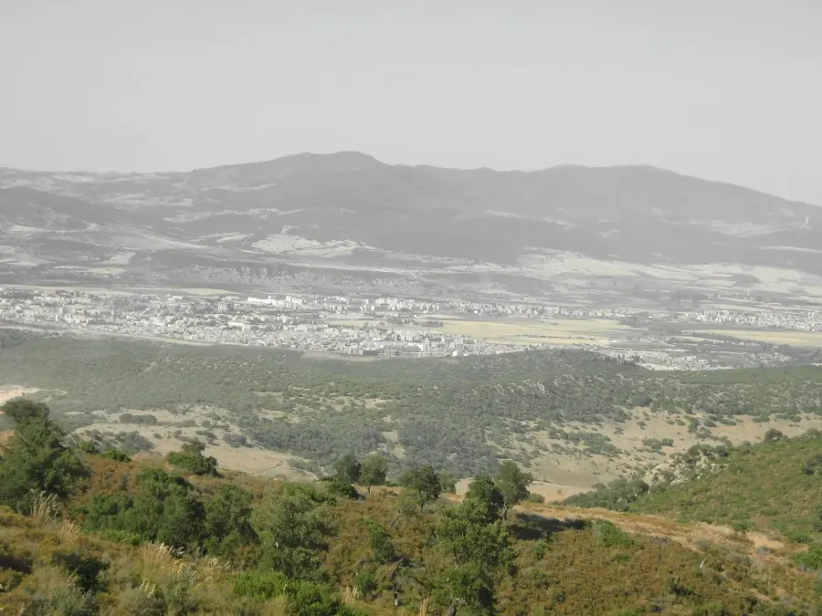 The Guelma Province card