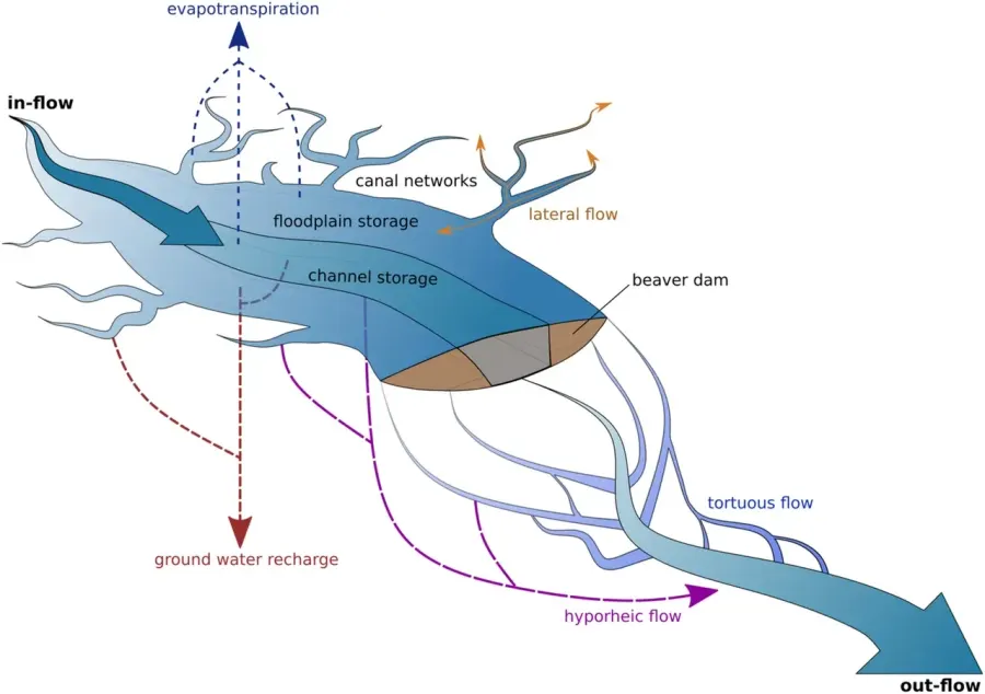 The Ecohydrology card