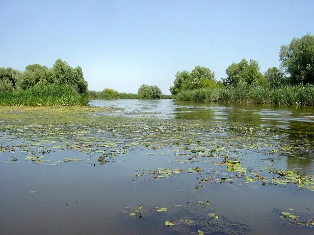 La carte Réserve naturelle d'Astrakhan