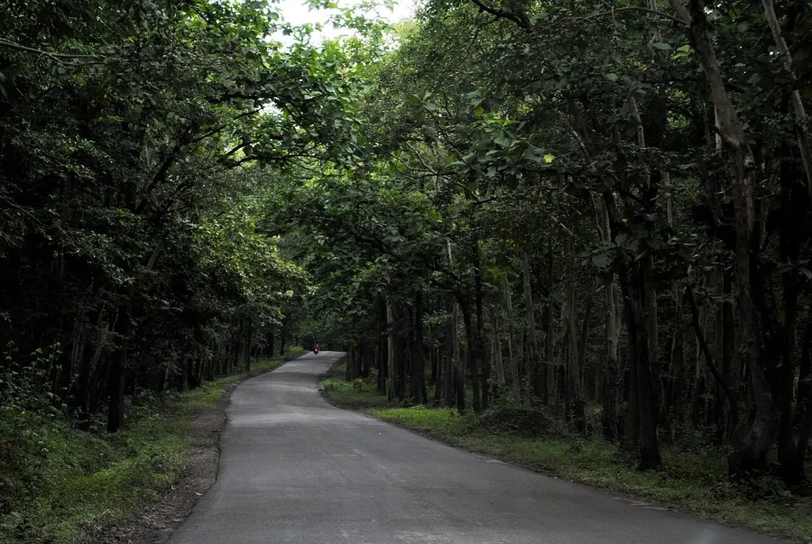 The Kali Tiger Reserve card
