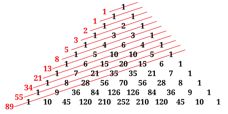 The Fibonacci sequence card