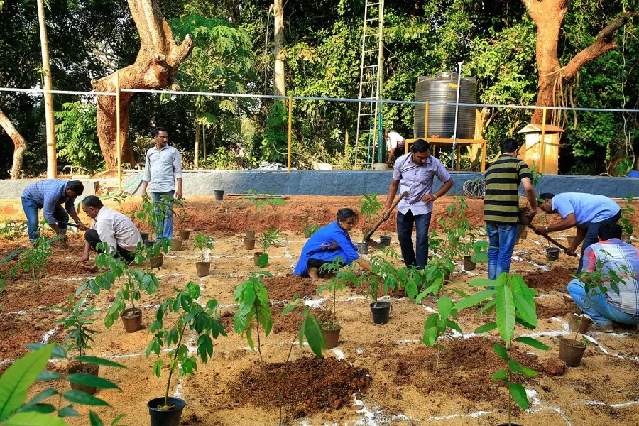 La carte Afforestation