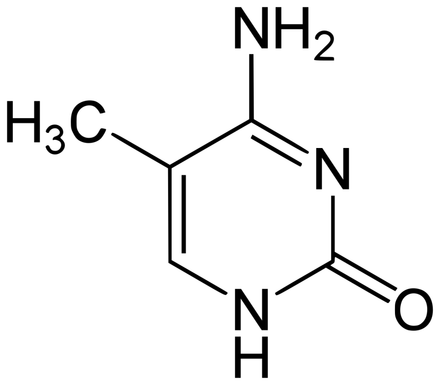 The 5-Methylcytosine card