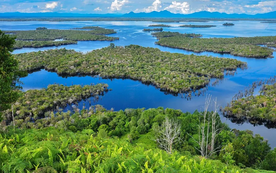The Lake Sentarum National Park card