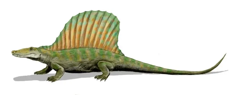 La carte Secodontosaurus