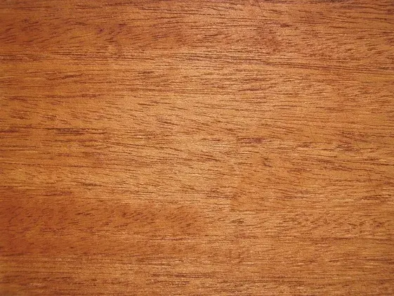 La carte Acajou