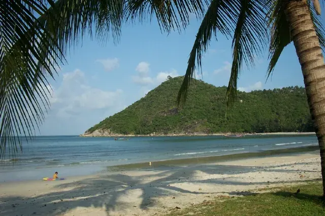 La carte Province de Surat Thani