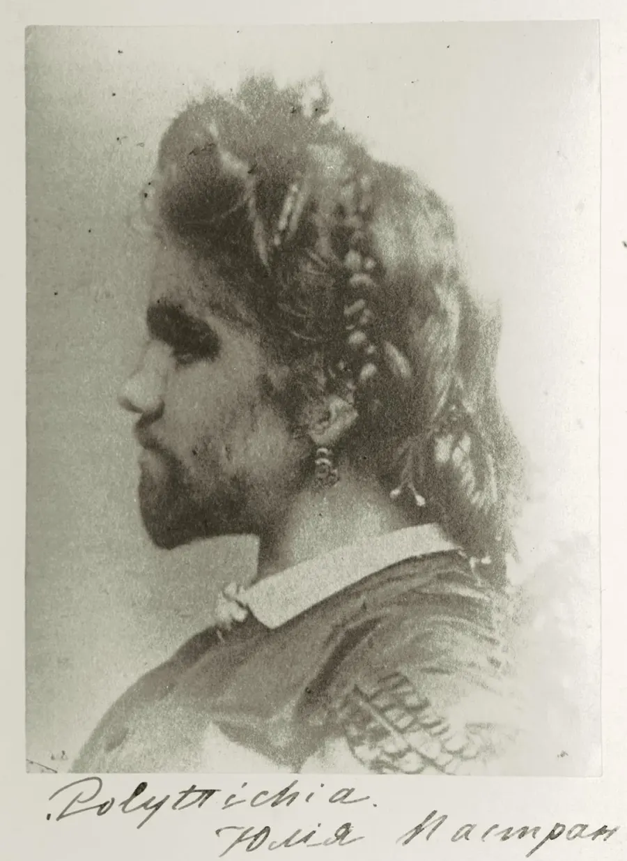 La carte Julia Pastrana
