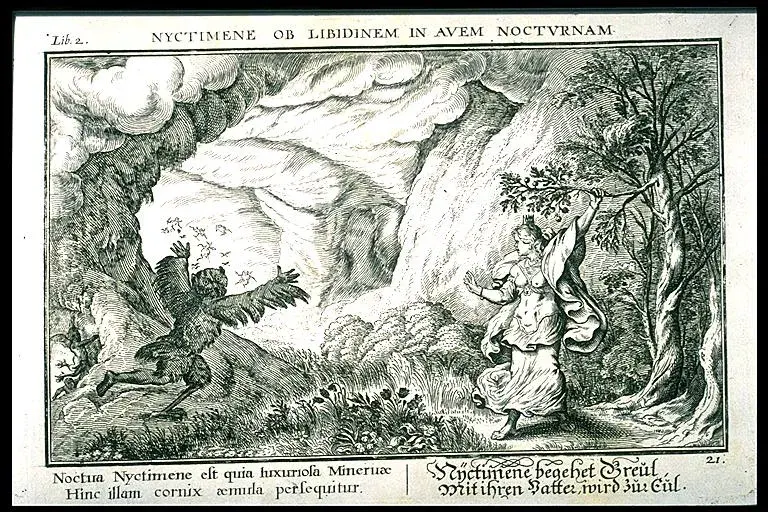 La carte Nyctimène
