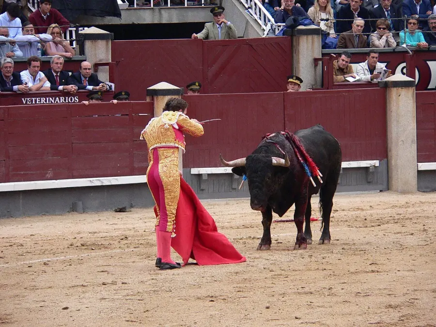 La carte Matador