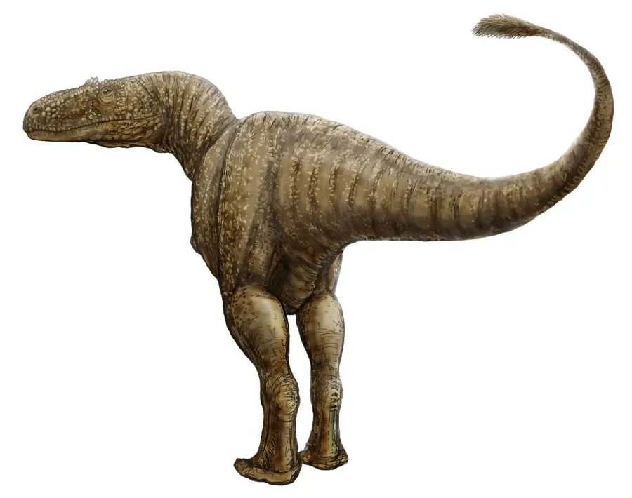 La carte Condorraptor