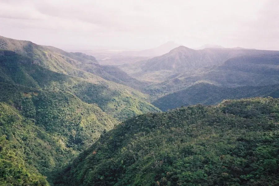 The Black River Gorges National Park card