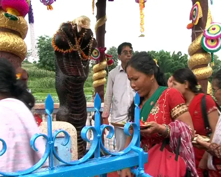 La carte Naga-panchami