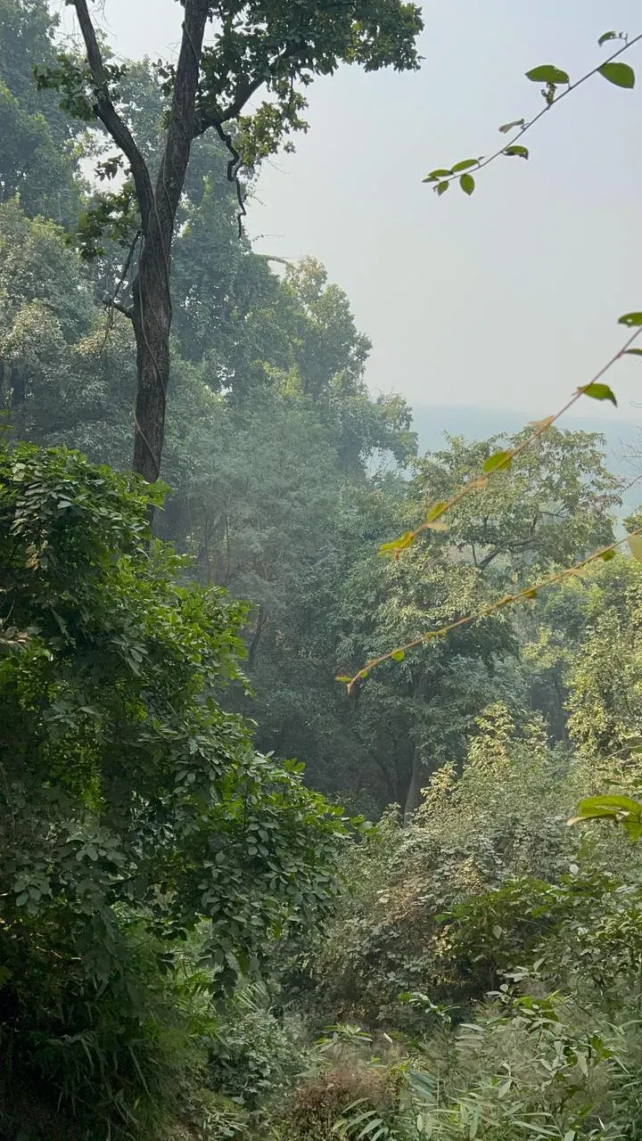 The Valmiki National Park card