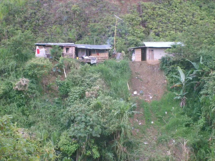 The Padilla, Cauca card