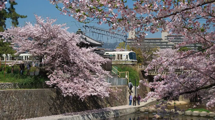 The Nishinomiya card