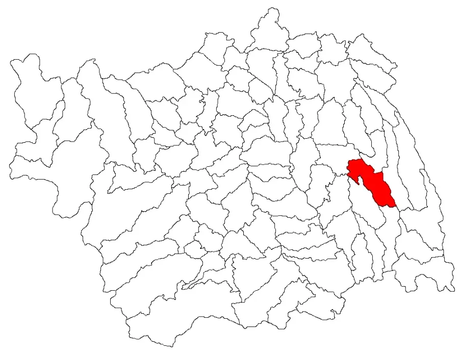La carte Vultureni