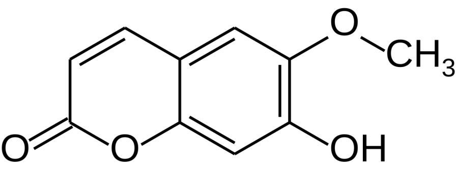 The Scopoletin card