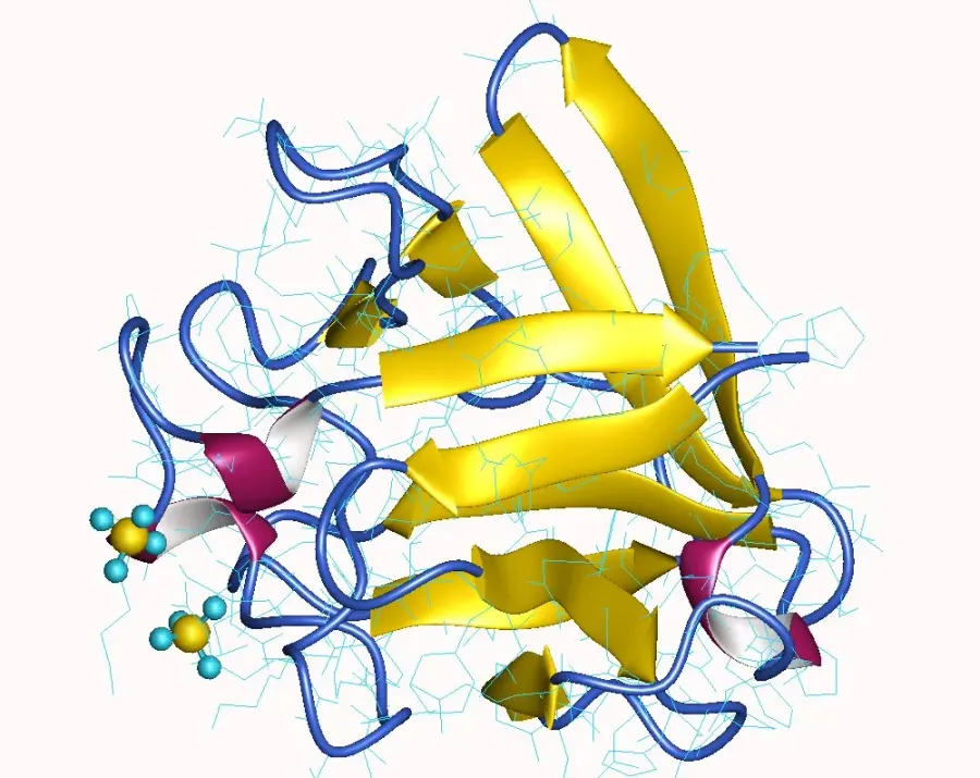 La carte Facteur de croissance des fibroblastes