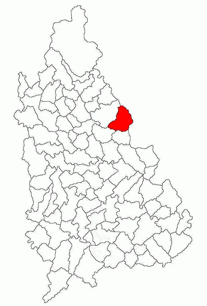 La carte Iedera