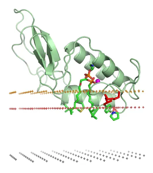 The Phospholipase A2 card
