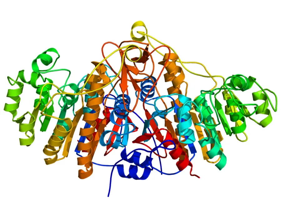 La carte Phosphatase alcaline