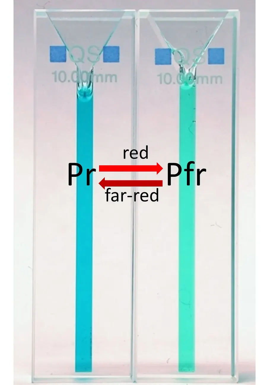 La carte Phytochrome