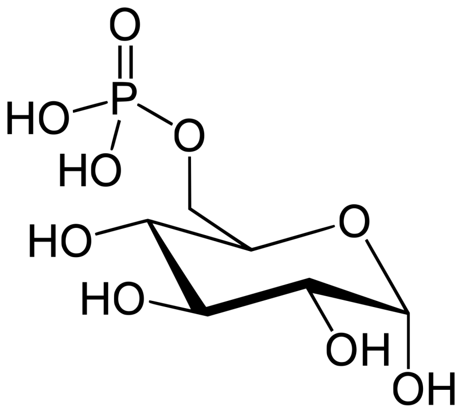 The Glucose 6-phosphatase card