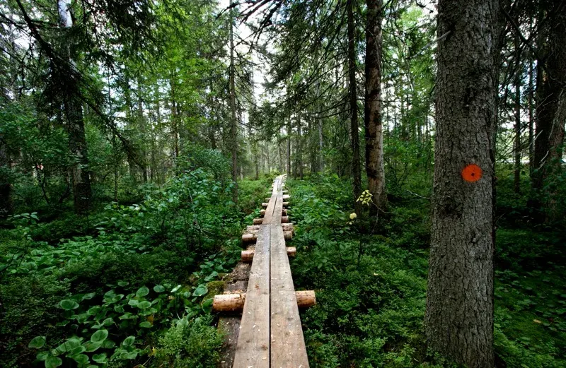 The Petkeljärvi National Park card