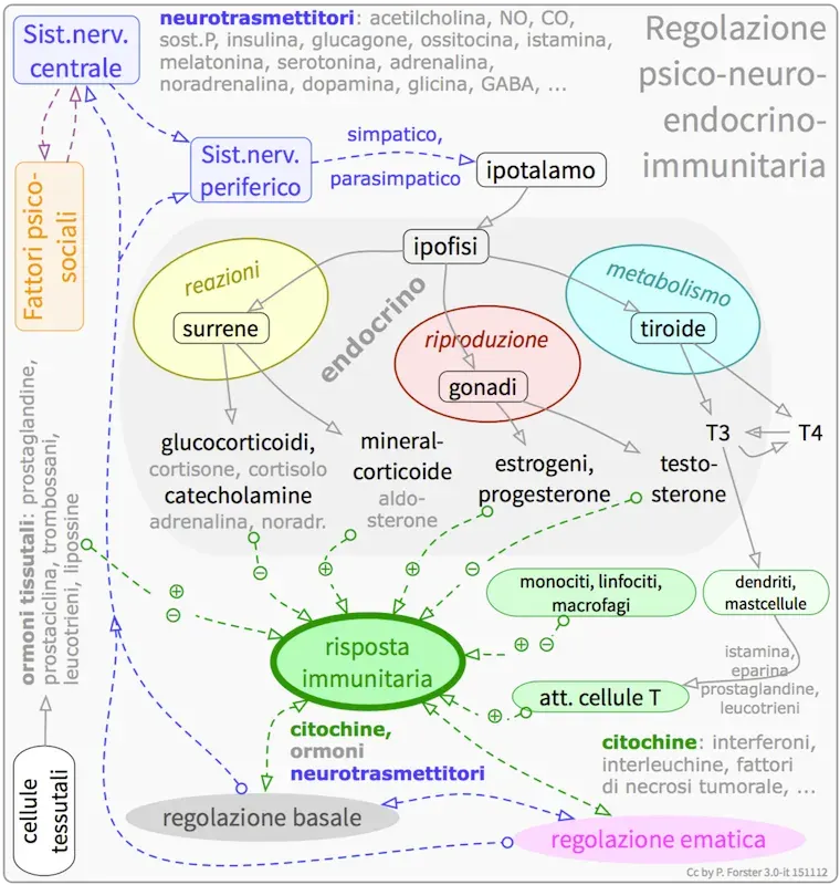 La carte Neuroimmunologie