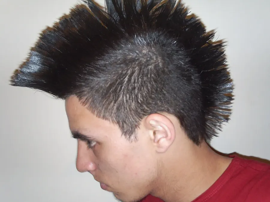 The Mohawk hairstyle card