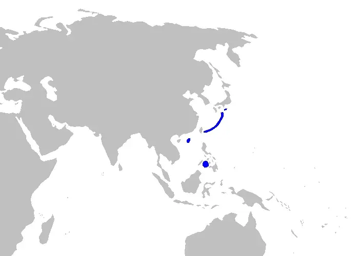 La carte Apristurus herklotsi