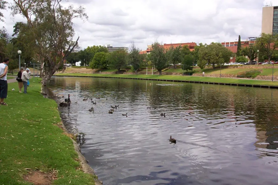 The River Torrens card