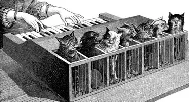 The Cat organ card