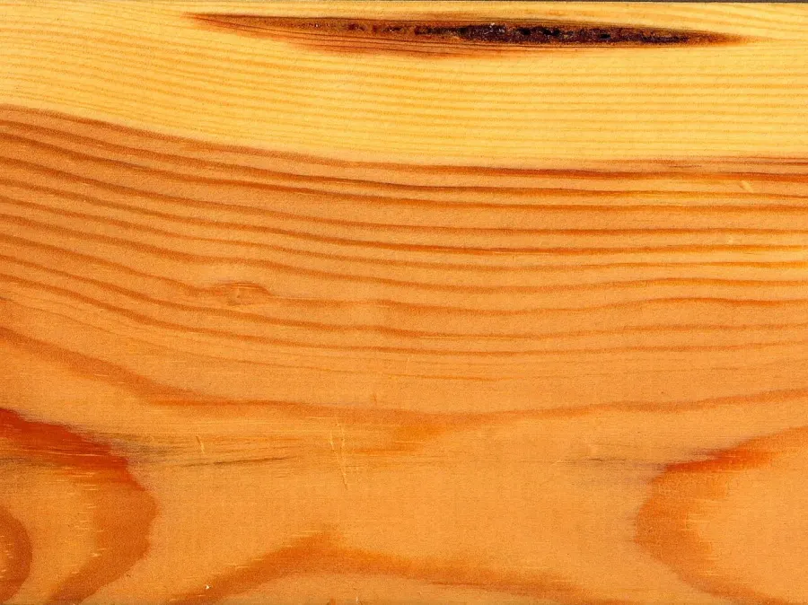 La carte Bois tendre