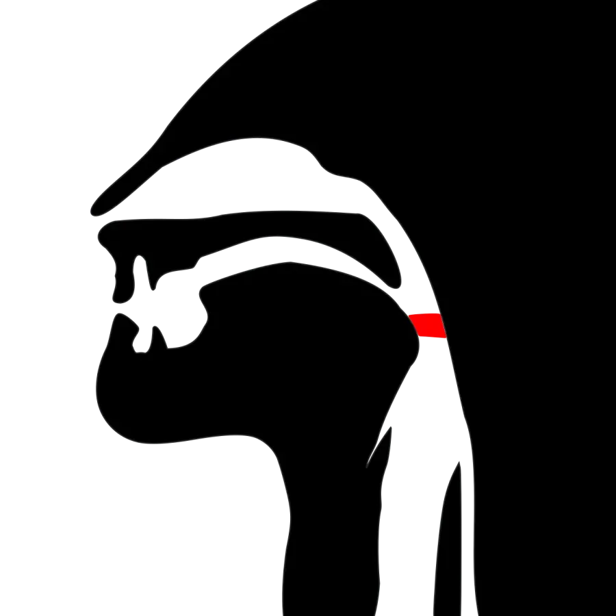 La carte Consonne pharyngale
