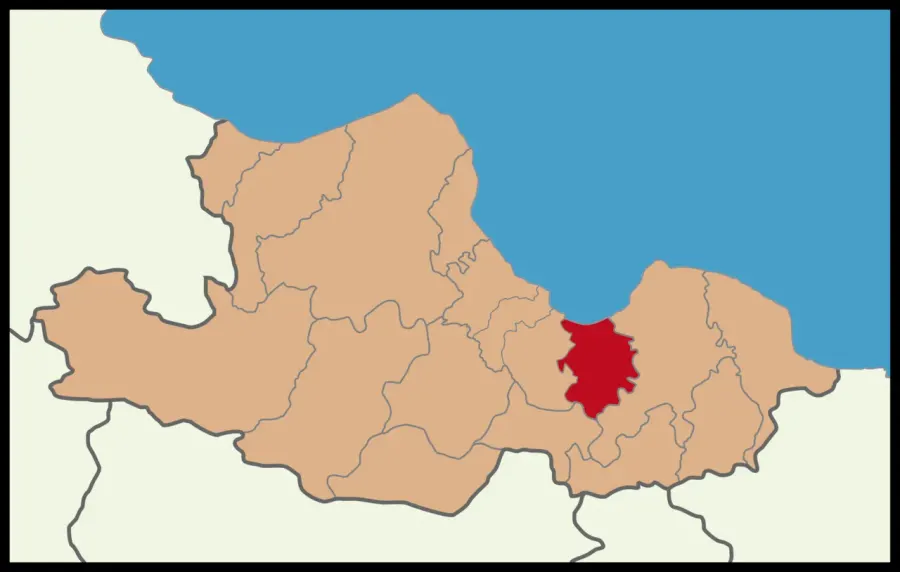 The Tekkeköy card