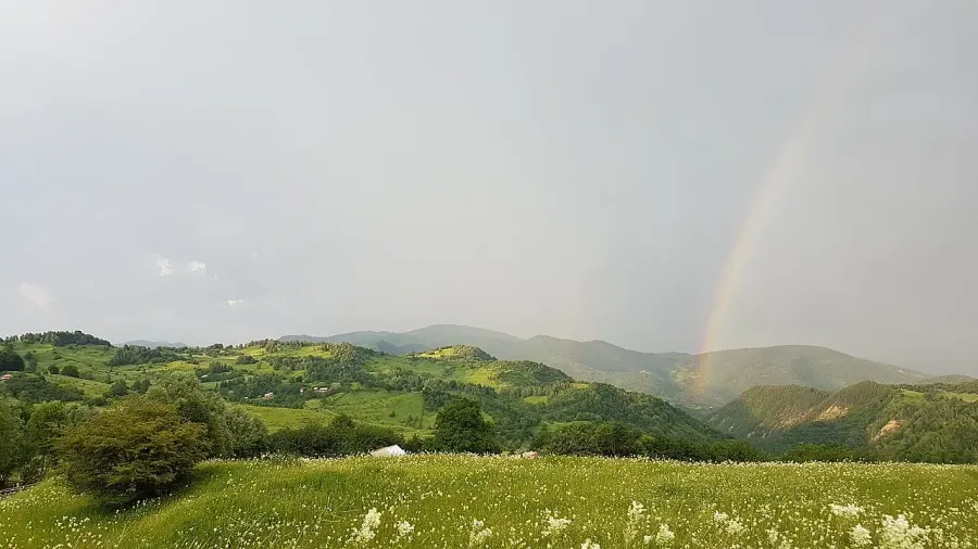 La carte Lopătari