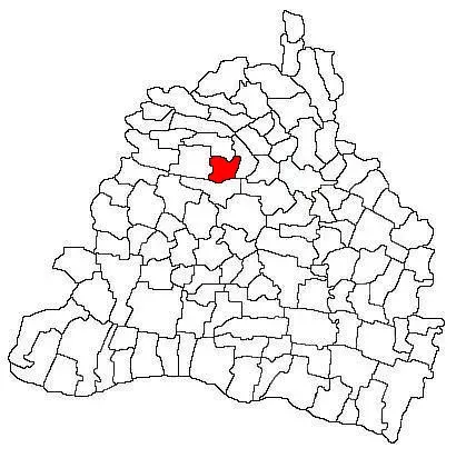 La carte Pleșoi