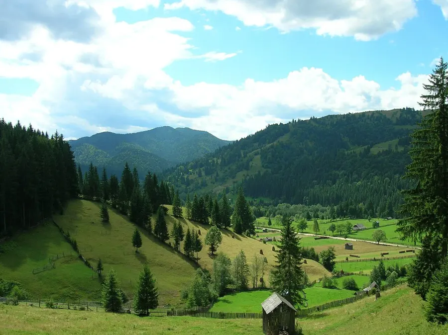 The Borca, Neamț card