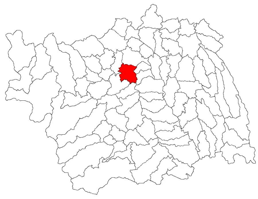 The Strugari, Bacău card