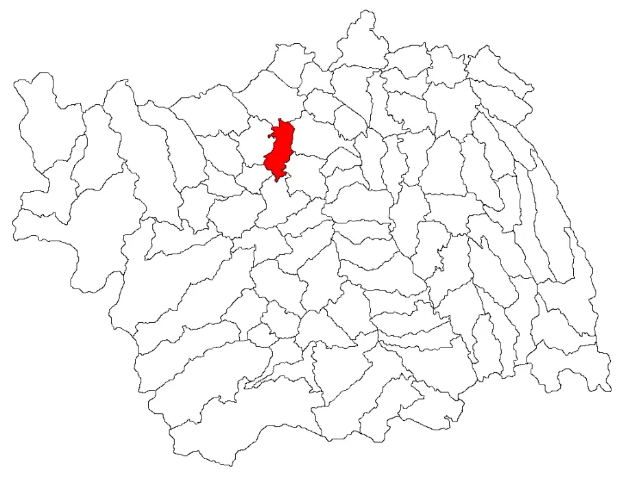 The Scorțeni, Bacău card