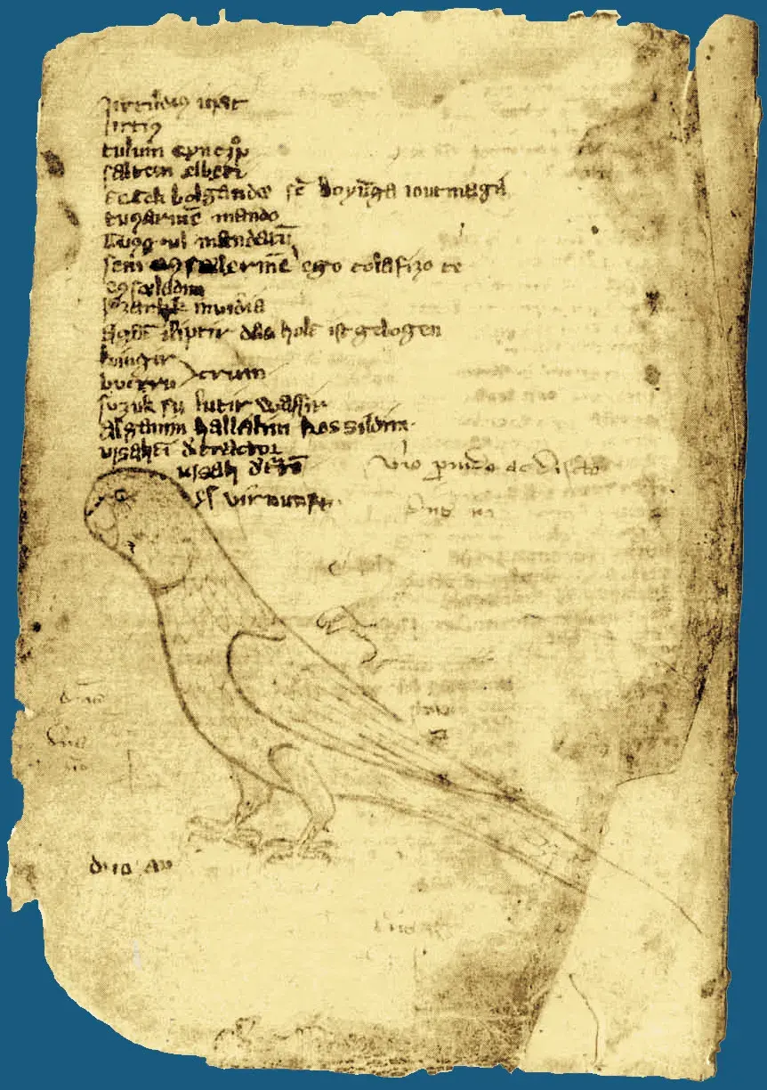 La carte Codex Cumanicus