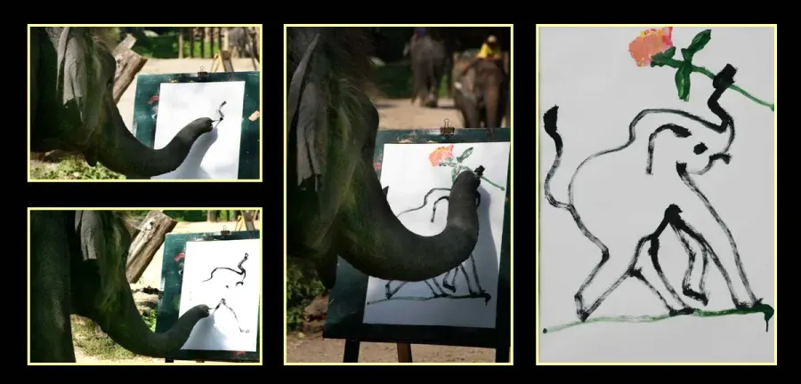 The Elephant cognition card