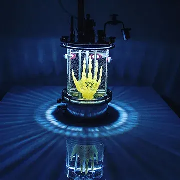 La carte Bio-art